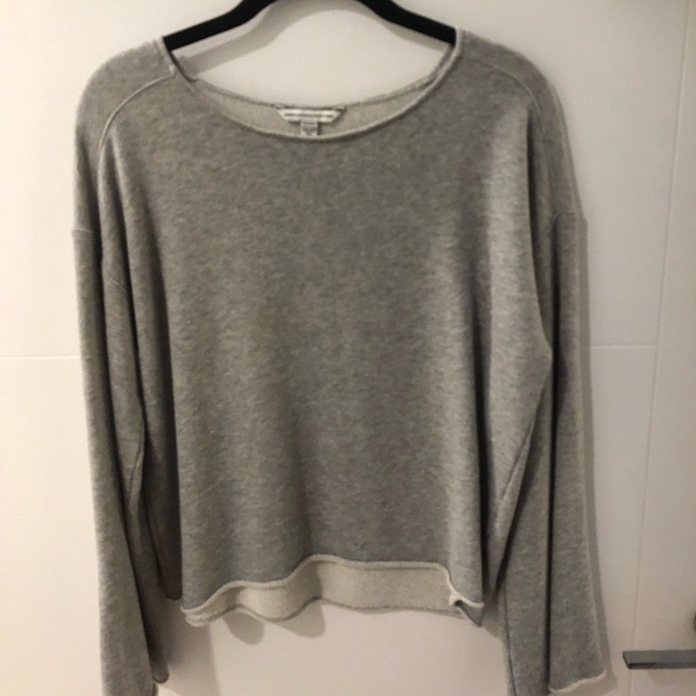 Grey Long sleeve American Eagle crop